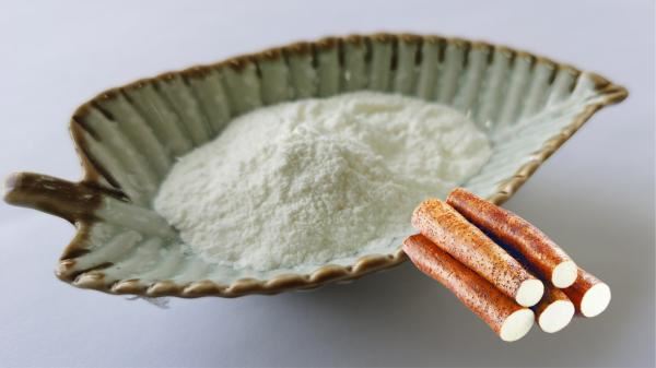 Diosgenin Powder, Wild Yam Root Powder, Yam Root Extract