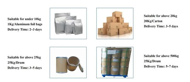 Package Method of Mango Fruit Powder