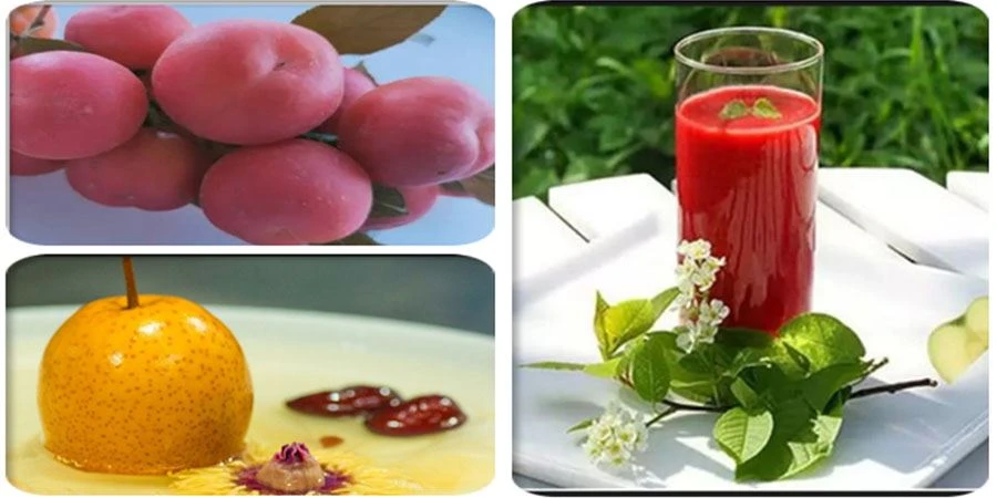 Chinese Dwarf Cherry Juice Powder