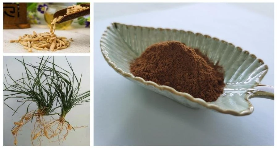 Ophiopogonis Extract Powder