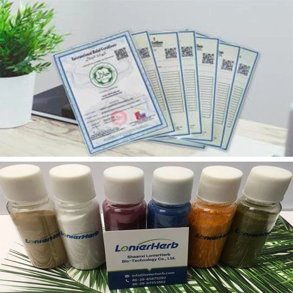 Cistanche Extract Powder