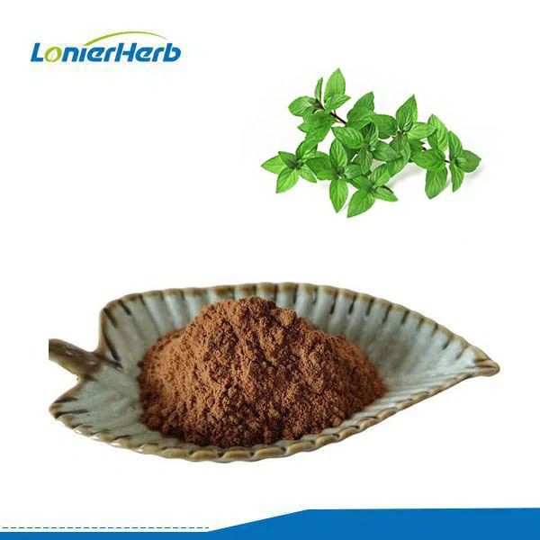 Spearmint Extract Powder