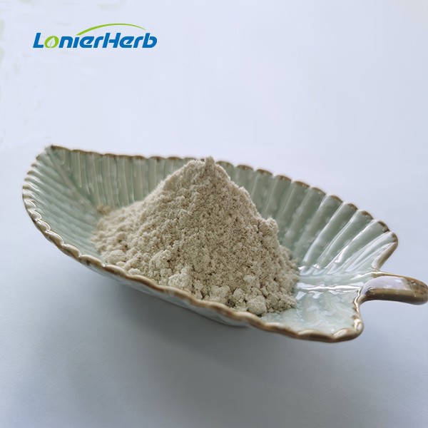 Best Pumpkin Seed Protein Powder