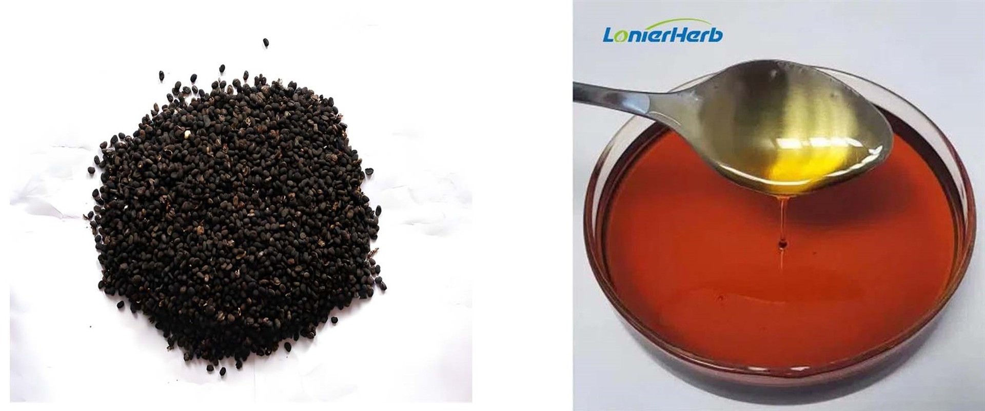 Psoralea Corylifolia Extract Psoralea Corylifolia Extract